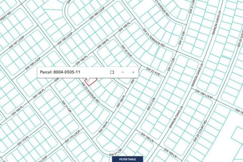 Land in Ocala, Florida № 2165077 - photo 3