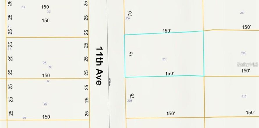 Land in DeLand, Florida № 2164006