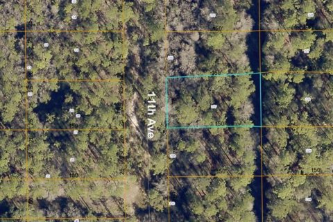 Land in DeLand, Florida № 2164006 - photo 2