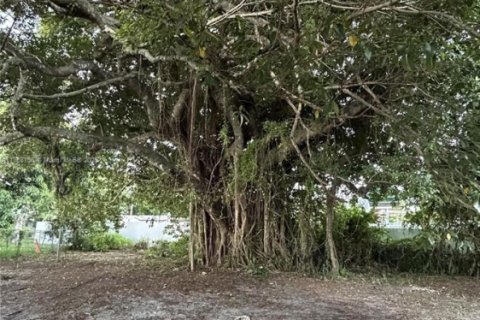 House in Opa-locka, Florida 3 bedrooms, 105.72 sq.m. № 2252908 - photo 18