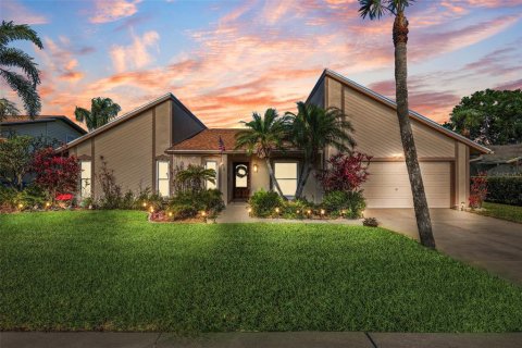 House in Tampa, Florida 4 bedrooms, 217.39 sq.m. № 1653718 - photo 1