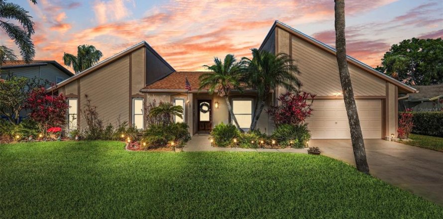 House in Tampa, Florida 4 bedrooms, 217.39 sq.m. № 1653718