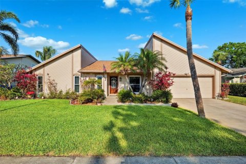 House in Tampa, Florida 4 bedrooms, 217.39 sq.m. № 1653718 - photo 3