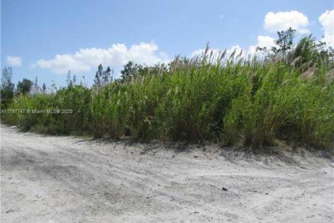 Commercial property in Florida City, Florida № 1861282 - photo 3