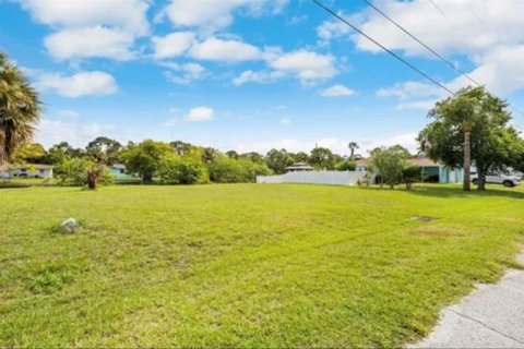 Land in Hudson, Florida № 1609721 - photo 9