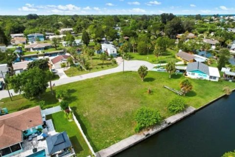 Land in Hudson, Florida № 1609721 - photo 3
