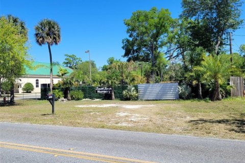 Land in Orlando, Florida № 1659735 - photo 16