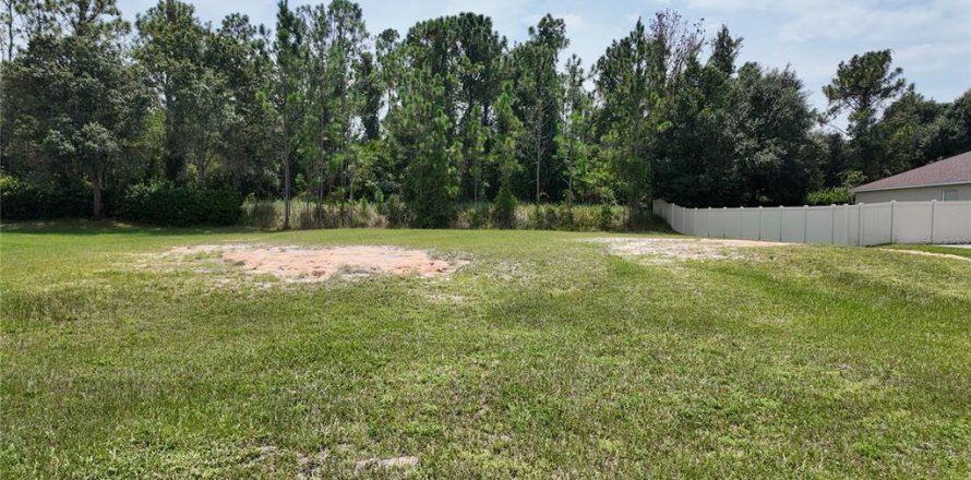 Terrain à Leesburg, Floride № 2208872