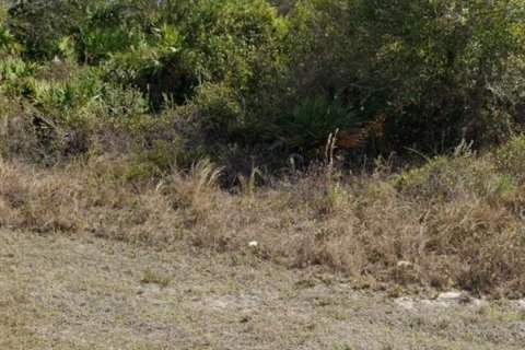 Land in Lehigh Acres, Florida № 2212927