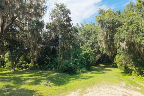 Terrain à vendre à Palatka, Floride № 2234256 - photo 4