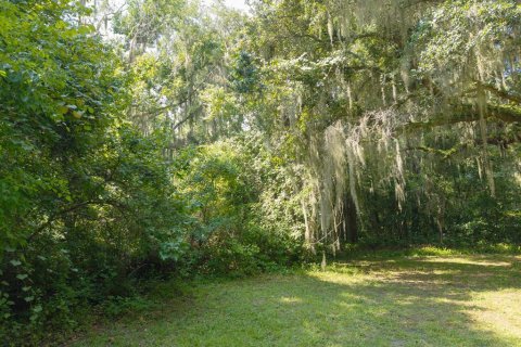 Terrain à vendre à Palatka, Floride № 2234256 - photo 5