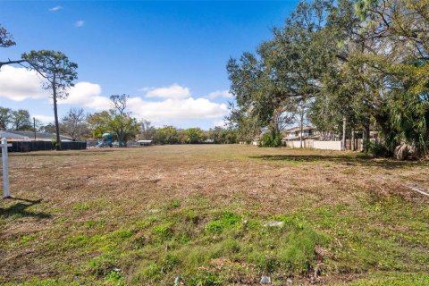 Terreno en venta en Seminole, Florida № 2123608 - foto 17