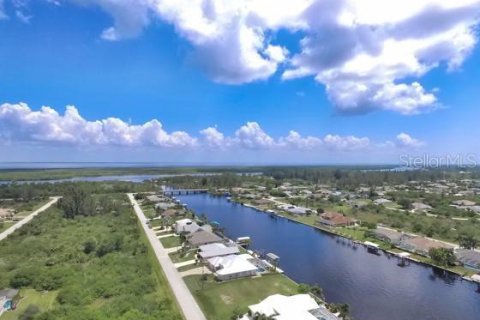 Land in Port Charlotte, Florida № 2224228 - photo 6
