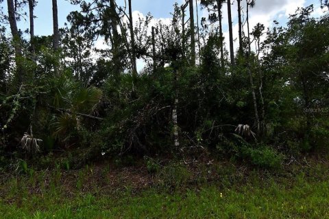 Land in North Port, Florida № 2164678 - photo 5