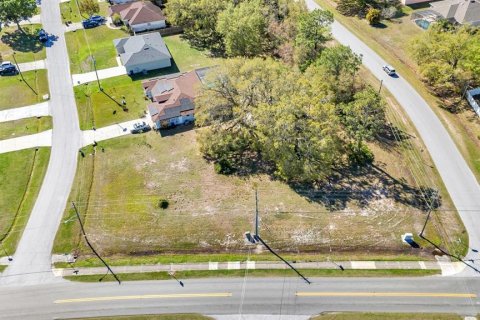 Terreno en venta en Kissimmee, Florida № 1547688 - foto 8