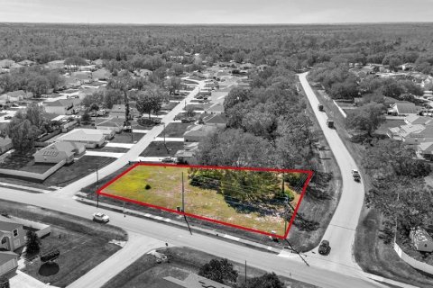Terreno en venta en Kissimmee, Florida № 1547688 - foto 7