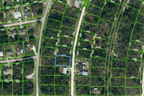 Land in Lake Placid, Florida № 2162409