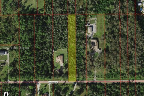 Land in Naples, Florida № 1863875 - photo 1