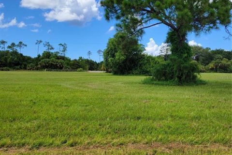 Terrain à vendre à Cape Coral, Floride № 2164561 - photo 4