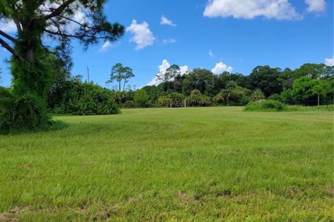 Terrain à vendre à Cape Coral, Floride № 2164561 - photo 5