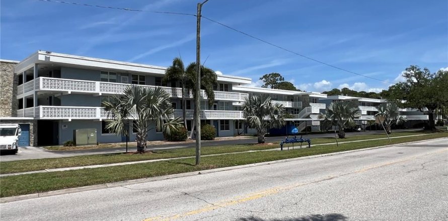 Condo à Saint Petersburg, Floride, 2 chambres  № 1627085