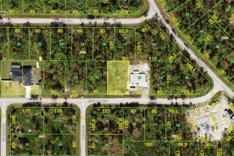Land in Port Charlotte, Florida № 2162149 - photo 2