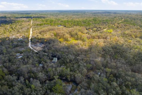 Land in Webster, Florida № 2161578 - photo 15