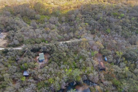 Land in Webster, Florida № 2161578 - photo 13