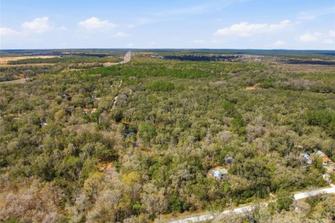 Land in Webster, Florida № 2161578 - photo 8