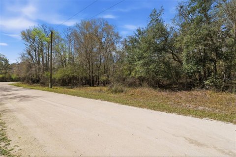 Land in Webster, Florida № 2161578 - photo 3
