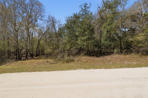 Land in Webster, Florida № 2161578