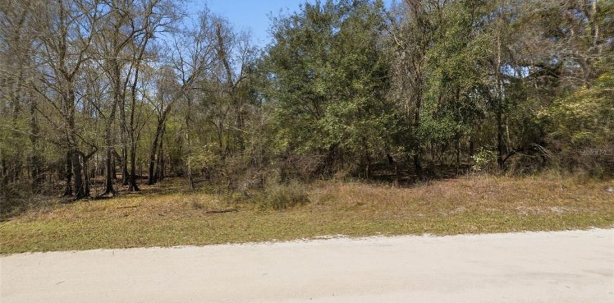 Land in Webster, Florida № 2161578