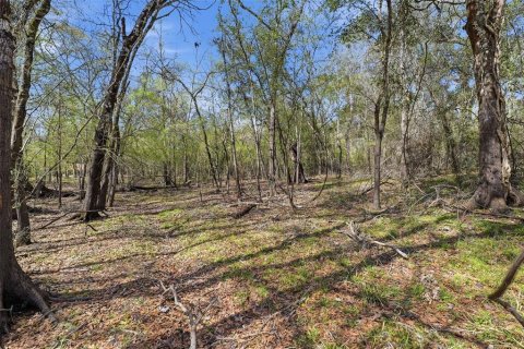 Land in Webster, Florida № 2161578 - photo 16
