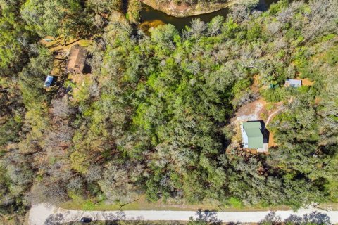 Land in Webster, Florida № 2161578 - photo 11