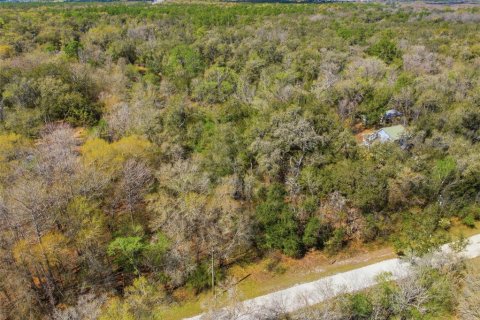 Land in Webster, Florida № 2161578 - photo 5