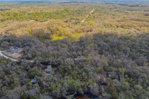 Land in Webster, Florida № 2161578 - photo 14
