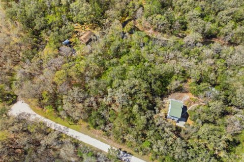 Land in Webster, Florida № 2161578 - photo 10