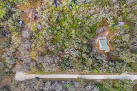 Land in Webster, Florida № 2161578 - photo 12