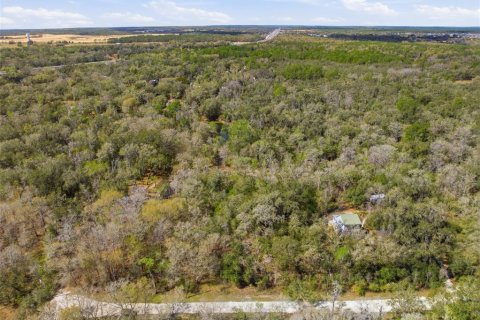 Land in Webster, Florida № 2161578 - photo 7