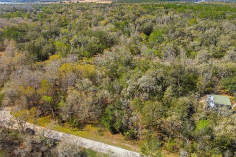 Land in Webster, Florida № 2161578 - photo 6