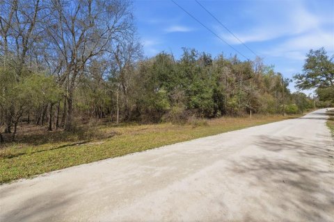 Land in Webster, Florida № 2161578 - photo 2
