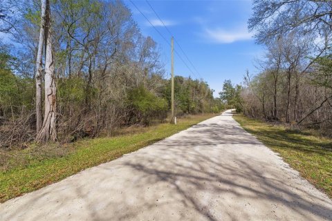 Land in Webster, Florida № 2161578 - photo 4