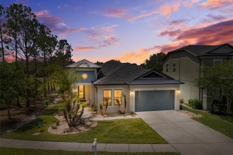 House in Wesley Chapel, Florida 4 bedrooms, 195.56 sq.m. № 2223034