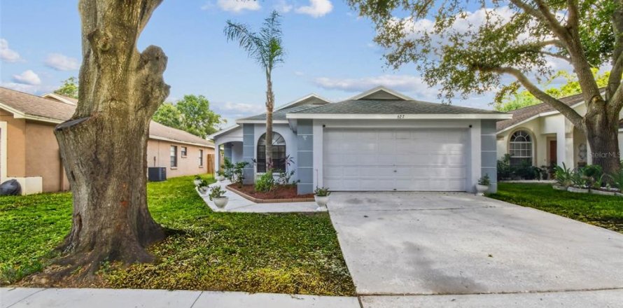 House in Valrico, Florida 3 bedrooms, 120.77 sq.m. № 1876402