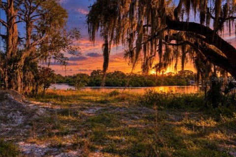 Land in New Port Richey, Florida № 2367180