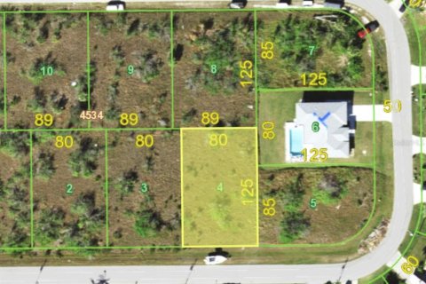 Land in Port Charlotte, Florida № 2164496 - photo 2