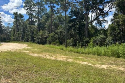 Land in Silver Springs Shores, Florida № 2165455 - photo 2