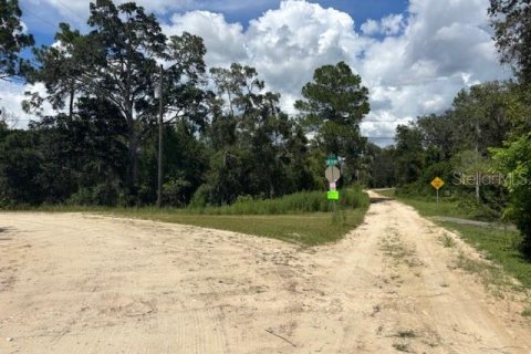 Land in Silver Springs Shores, Florida № 2165455