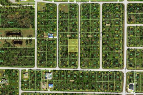 Land in Port Charlotte, Florida № 2161095 - photo 2