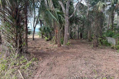Terreno en venta en Geneva, Florida № 943678 - foto 2